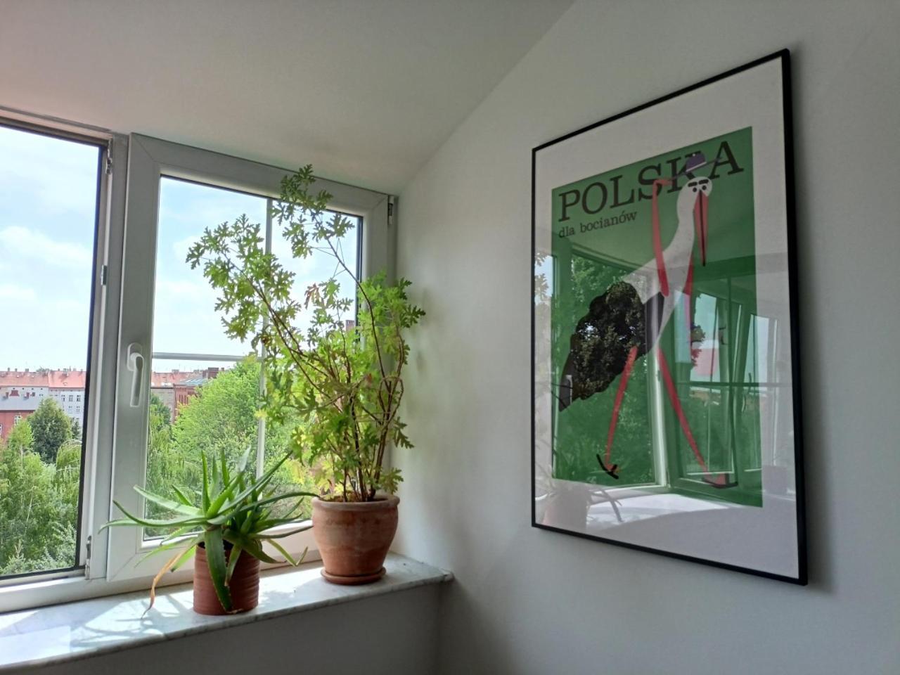 Lemuria Pokoje Hostel Chojnowska A Legnica Esterno foto