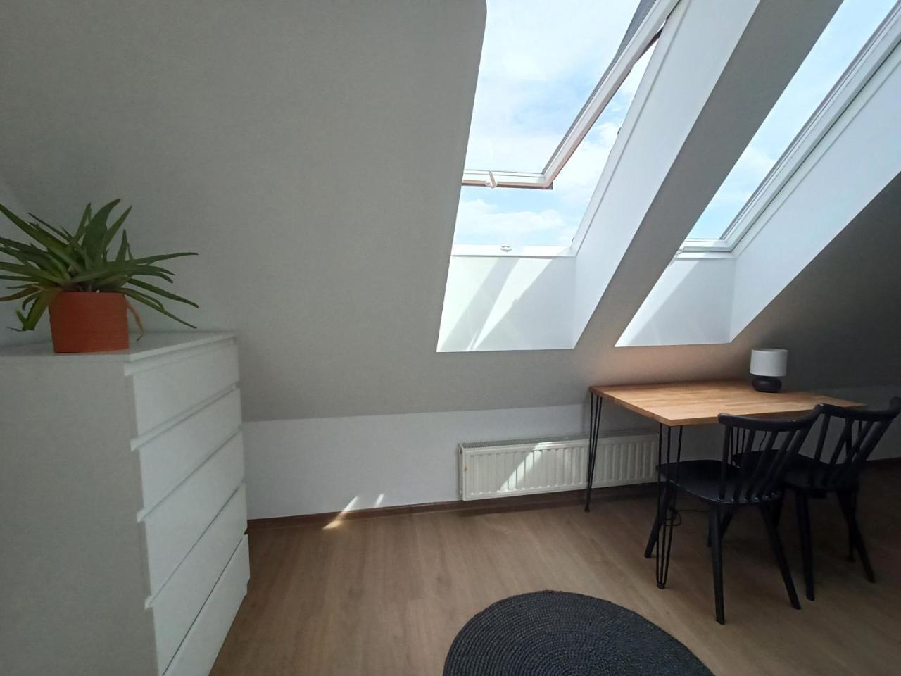 Lemuria Pokoje Hostel Chojnowska A Legnica Esterno foto