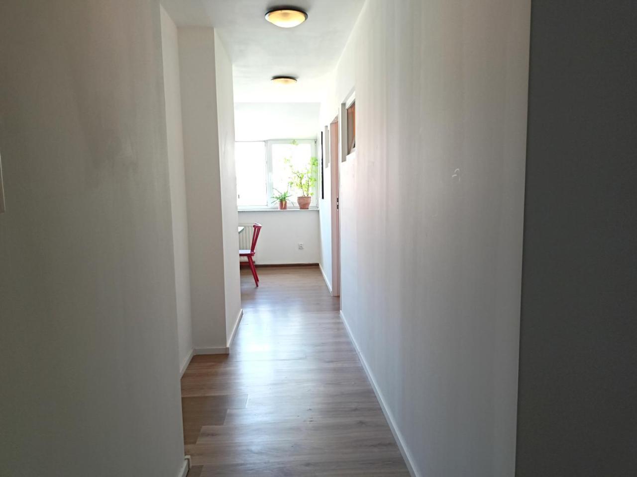 Lemuria Pokoje Hostel Chojnowska A Legnica Esterno foto