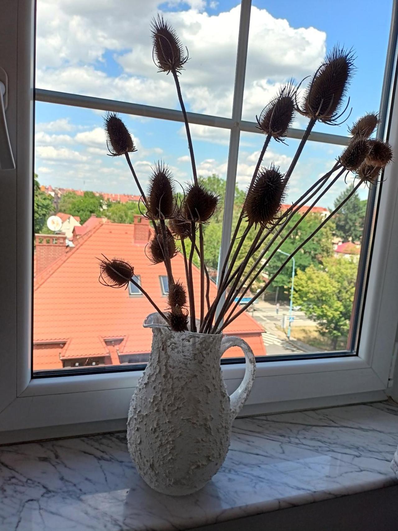 Lemuria Pokoje Hostel Chojnowska A Legnica Esterno foto